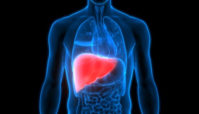 New potential therapeutic targets for non-alcoholic fatty liver disease discovered