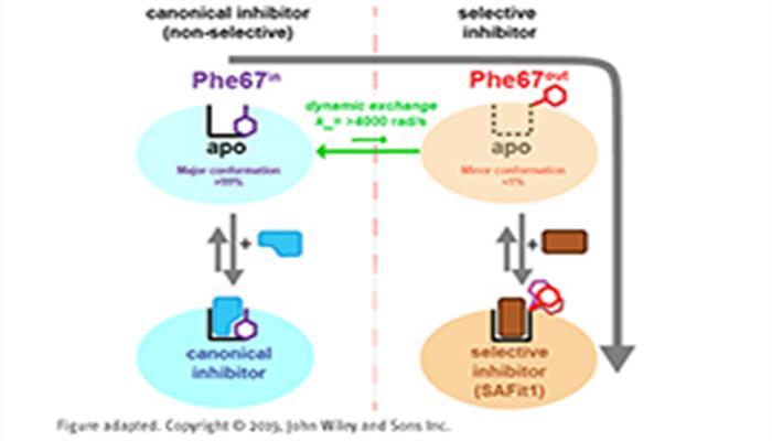 Helmholtz researchers decipher mechanism of new drugs for the treatment of depression, pain or obesity